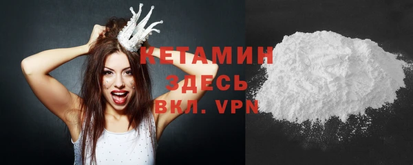 сатива Новодвинск