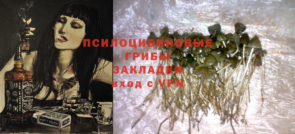 ПСИЛОЦИБИНОВЫЕ ГРИБЫ Няндома
