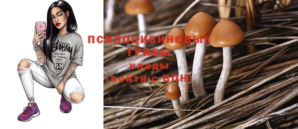 mdpv Нягань
