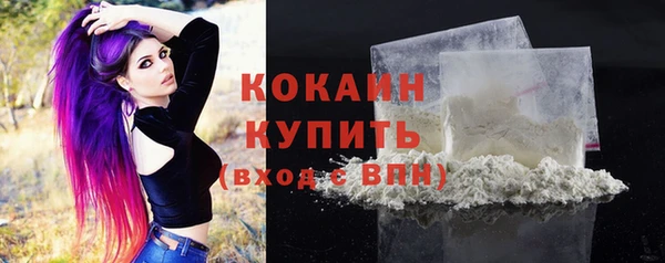 ПСИЛОЦИБИНОВЫЕ ГРИБЫ Няндома