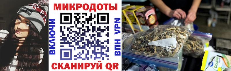 как найти   Стрежевой  Псилоцибиновые грибы MAGIC MUSHROOMS 